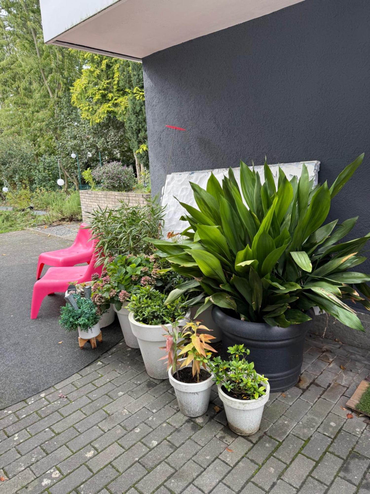 Modernes 1 Zimmerapartment Nahe Frankfurt Am Main Heusenstamm Zewnętrze zdjęcie